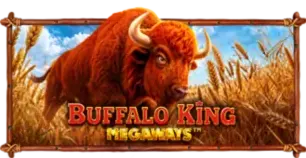ภาพเกม Buffalo King Megaways ที่ hag36 รวบรวมไว้
