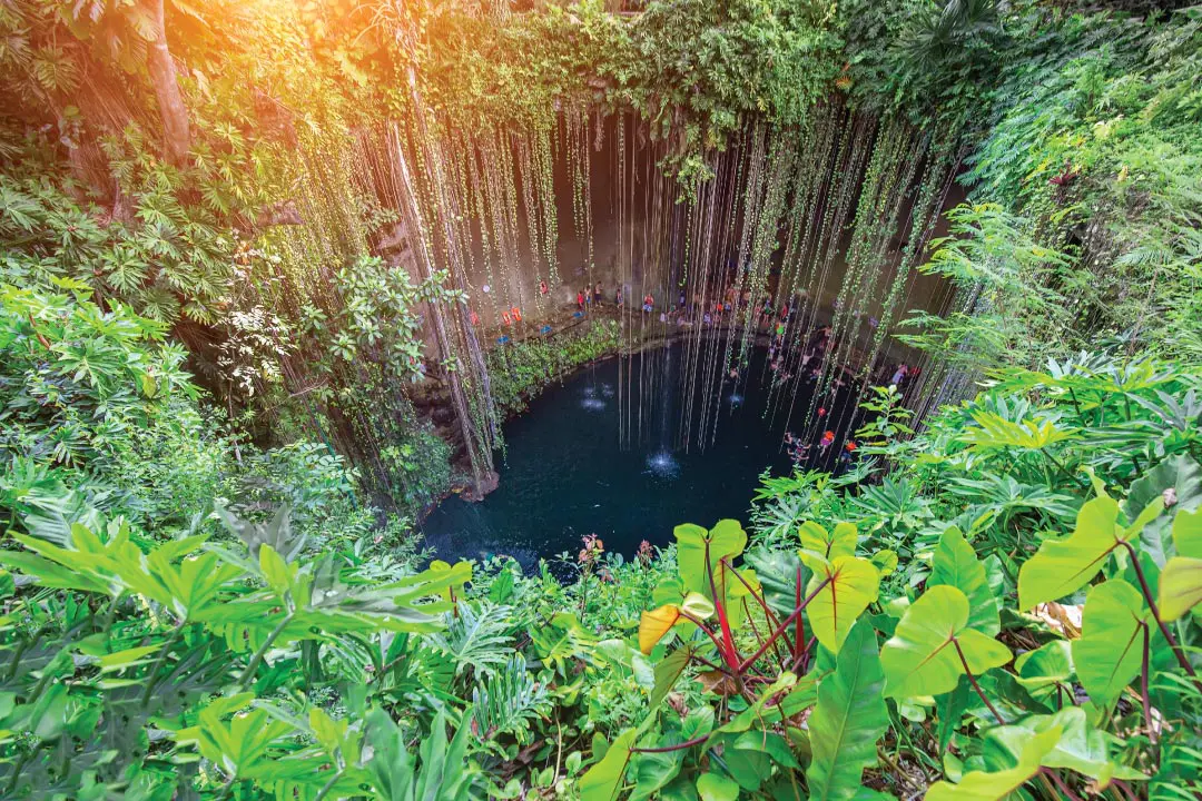 Cenotes of Yucatan Peninsula ประเทศเม็กซิโก