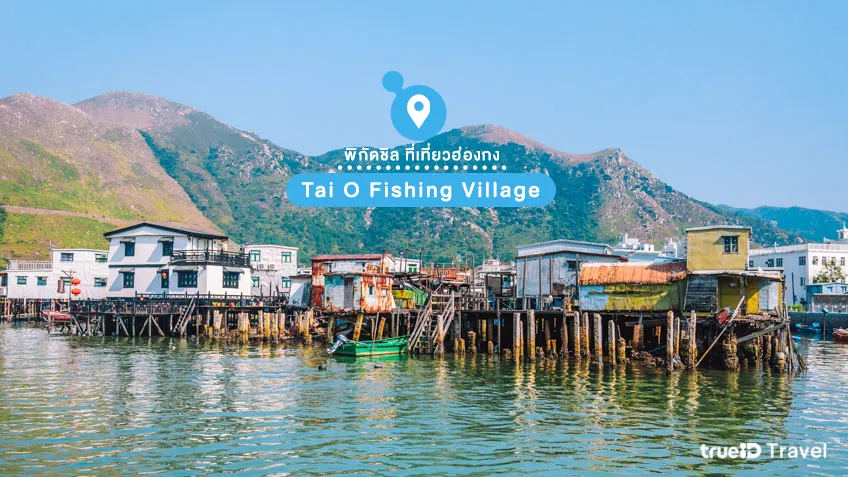 หมู่บ้านชาวประมงไทโอ Tai O Fishing Village